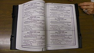 Laurens Co, GA, Marriages Book S, 1924 - 1934, White, P 414-415.JPG