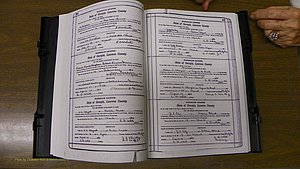 Laurens Co, GA, Marriages Book S, 1924 - 1934, White, P 416-417.JPG