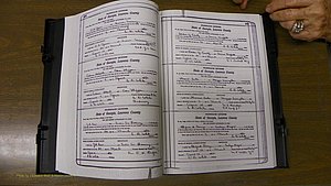 Laurens Co, GA, Marriages Book S, 1924 - 1934, White, P 418-419.JPG