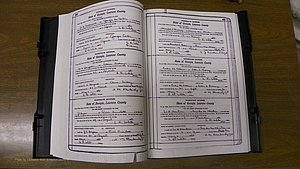 Laurens Co, GA, Marriages Book S, 1924 - 1934, White, P 420-421.JPG