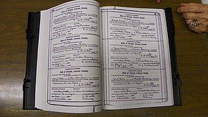 Laurens Co, GA, Marriages Book S, 1924 - 1934, White, P 422-423.JPG