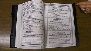 Laurens Co, GA, Marriages Book S, 1924 - 1934, White, P 424-425.JPG