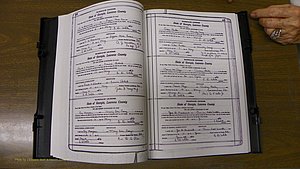 Laurens Co, GA, Marriages Book S, 1924 - 1934, White, P 426-427.JPG