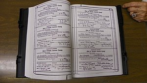 Laurens Co, GA, Marriages Book S, 1924 - 1934, White, P 428-429.JPG