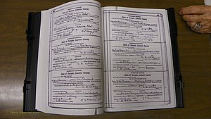 Laurens Co, GA, Marriages Book S, 1924 - 1934, White, P 430-431.JPG