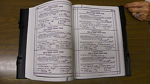 Laurens Co, GA, Marriages Book S, 1924 - 1934, White, P 436-437.JPG