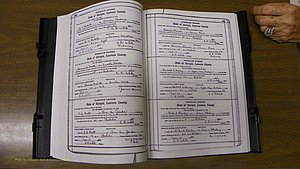 Laurens Co, GA, Marriages Book S, 1924 - 1934, White, P 440-441.JPG