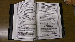 Laurens Co, GA, Marriages Book S, 1924 - 1934, White, P 442-443.JPG