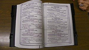 Laurens Co, GA, Marriages Book S, 1924 - 1934, White, P 444-445.JPG