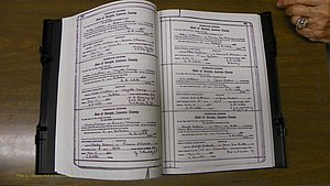 Laurens Co, GA, Marriages Book S, 1924 - 1934, White, P 446-447.JPG