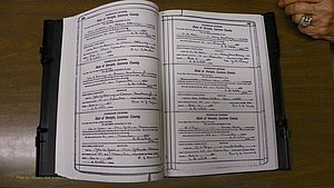 Laurens Co, GA, Marriages Book S, 1924 - 1934, White, P 448-449.JPG