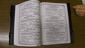Laurens Co, GA, Marriages Book S, 1924 - 1934, White, P 450-451.JPG