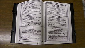 Laurens Co, GA, Marriages Book S, 1924 - 1934, White, P 452-453.JPG