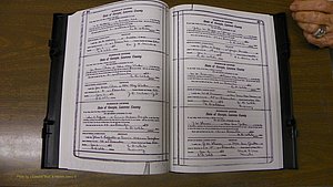 Laurens Co, GA, Marriages Book S, 1924 - 1934, White, P 456-457.JPG