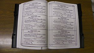 Laurens Co, GA, Marriages Book S, 1924 - 1934, White, P 458-459.JPG