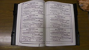 Laurens Co, GA, Marriages Book S, 1924 - 1934, White, P 460-461.JPG