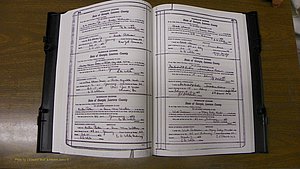 Laurens Co, GA, Marriages Book S, 1924 - 1934, White, P 464-465.JPG