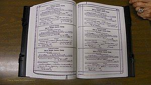 Laurens Co, GA, Marriages Book S, 1924 - 1934, White, P 470-471.JPG