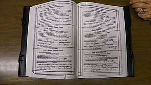 Laurens Co, GA, Marriages Book S, 1924 - 1934, White, P 476-477.JPG