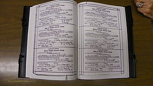 Laurens Co, GA, Marriages Book S, 1924 - 1934, White, P 478-479.JPG