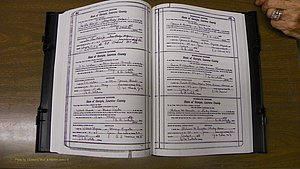Laurens Co, GA, Marriages Book S, 1924 - 1934, White, P 480-481.JPG