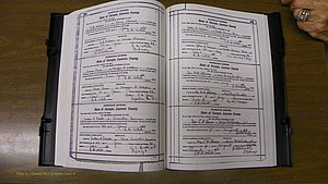 Laurens Co, GA, Marriages Book S, 1924 - 1934, White, P 482-483.JPG