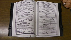 Laurens Co, GA, Marriages Book S, 1924 - 1934, White, P 484-485.JPG