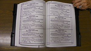 Laurens Co, GA, Marriages Book S, 1924 - 1934, White, P 486-487.JPG