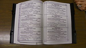 Laurens Co, GA, Marriages Book S, 1924 - 1934, White, P 492-493.JPG