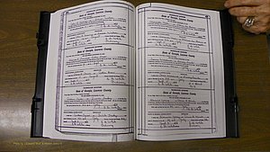 Laurens Co, GA, Marriages Book S, 1924 - 1934, White, P 494-495.JPG