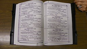 Laurens Co, GA, Marriages Book S, 1924 - 1934, White, P 496-497.JPG
