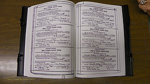 Laurens Co, GA, Marriages Book S, 1924 - 1934, White, P 498-499.JPG