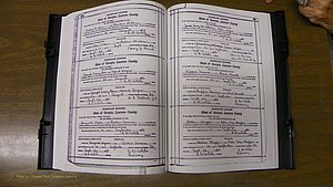 Laurens Co, GA, Marriages Book S, 1924 - 1934, White, P 500-501.JPG