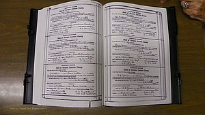 Laurens Co, GA, Marriages Book S, 1924 - 1934, White, P 504-505.JPG