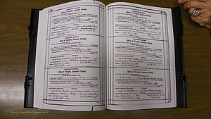 Laurens Co, GA, Marriages Book S, 1924 - 1934, White, P 506-507.JPG