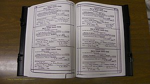 Laurens Co, GA, Marriages Book S, 1924 - 1934, White, P 508-509.JPG