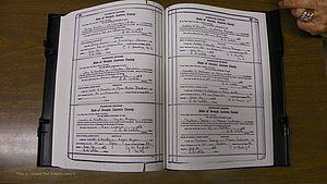 Laurens Co, GA, Marriages Book S, 1924 - 1934, White, P 526-527.JPG
