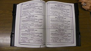 Laurens Co, GA, Marriages Book S, 1924 - 1934, White, P 528-529.JPG