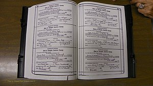 Laurens Co, GA, Marriages Book S, 1924 - 1934, White, P 530-531.JPG
