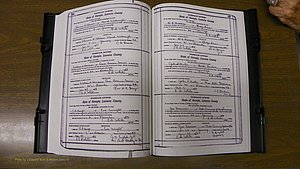 Laurens Co, GA, Marriages Book S, 1924 - 1934, White, P 536-537.JPG