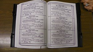 Laurens Co, GA, Marriages Book S, 1924 - 1934, White, P 540-541.JPG