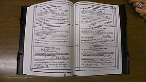 Laurens Co, GA, Marriages Book S, 1924 - 1934, White, P 542-543.JPG