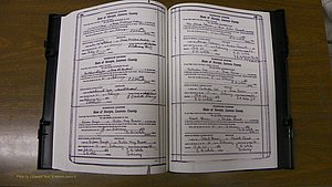 Laurens Co, GA, Marriages Book S, 1924 - 1934, White, P 544-545.JPG