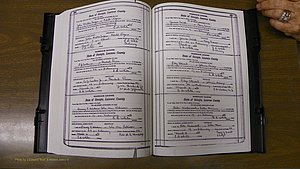 Laurens Co, GA, Marriages Book S, 1924 - 1934, White, P 548-549.JPG