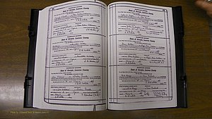 Laurens Co, GA, Marriages Book S, 1924 - 1934, White, P 554-555.JPG