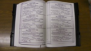Laurens Co, GA, Marriages Book S, 1924 - 1934, White, P 556-557.JPG