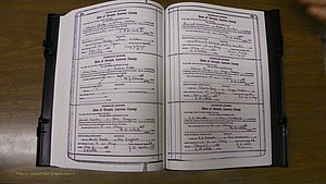 Laurens Co, GA, Marriages Book S, 1924 - 1934, White, P 558-559.JPG