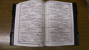 Laurens Co, GA, Marriages Book S, 1924 - 1934, White, P 560-561.JPG