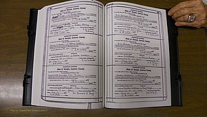 Laurens Co, GA, Marriages Book S, 1924 - 1934, White, P 566-567.JPG