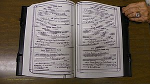 Laurens Co, GA, Marriages Book S, 1924 - 1934, White, P 570-571.JPG